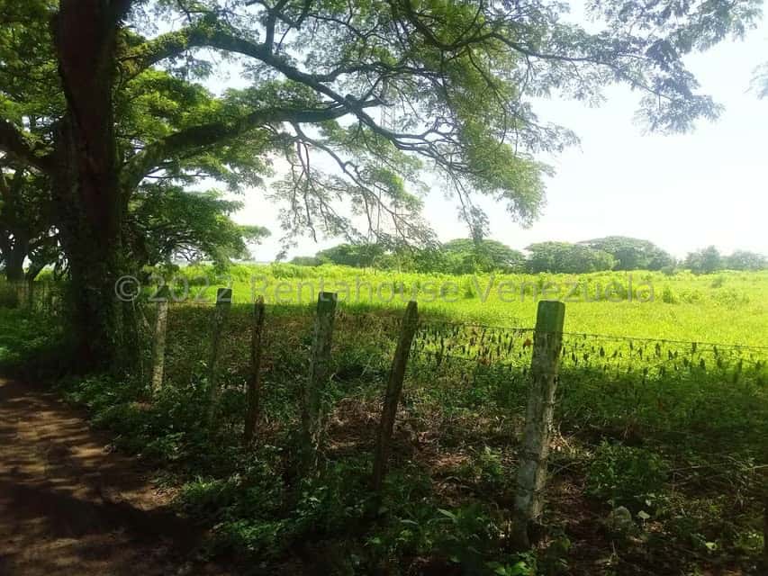 View 7