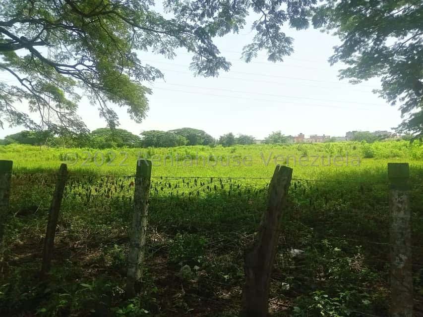 View 8