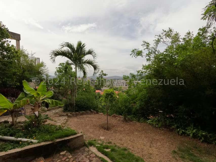 View 26