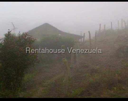 Vista 5