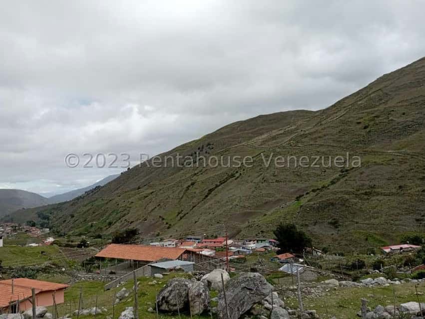 View 1