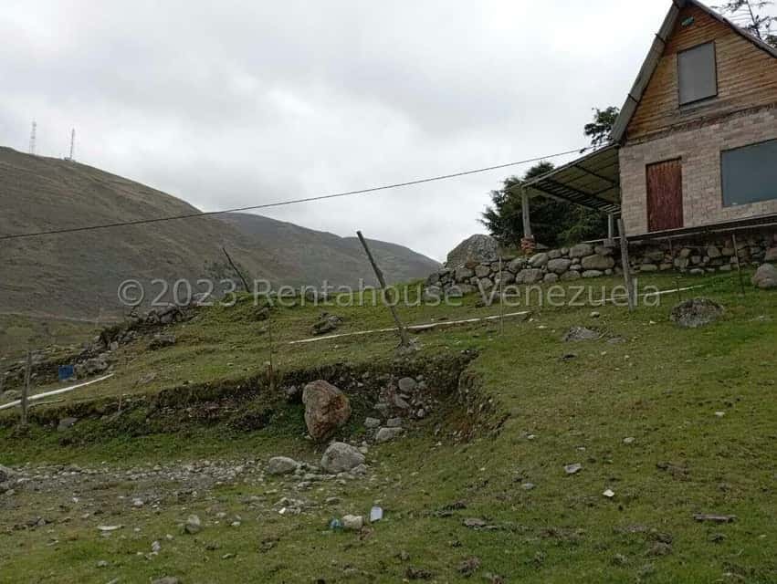 View 12