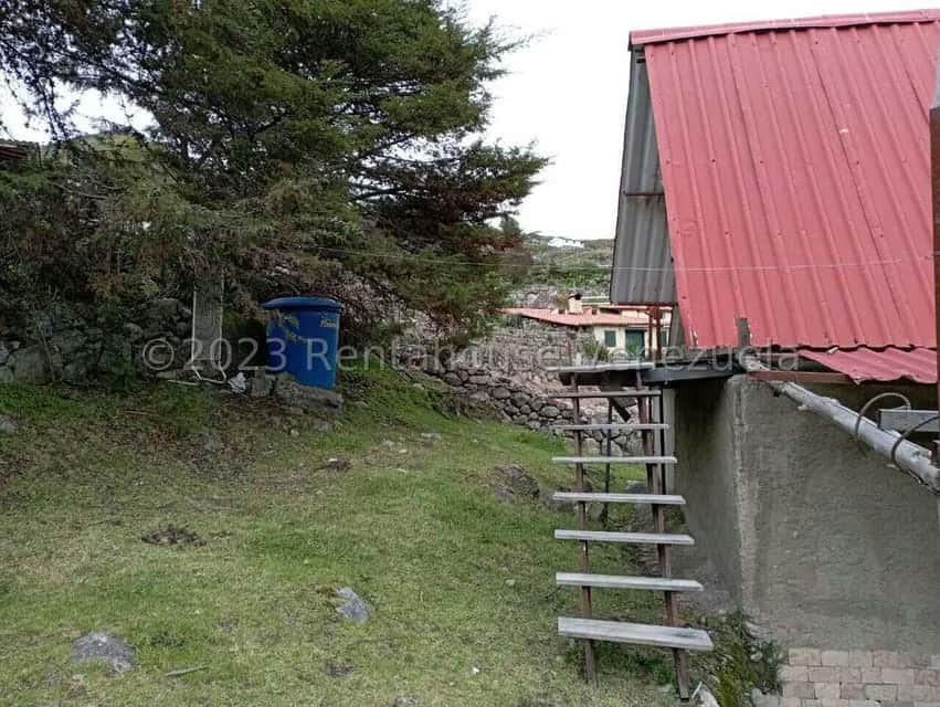 View 19