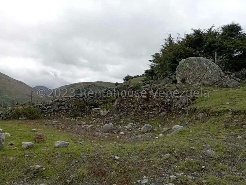View 10