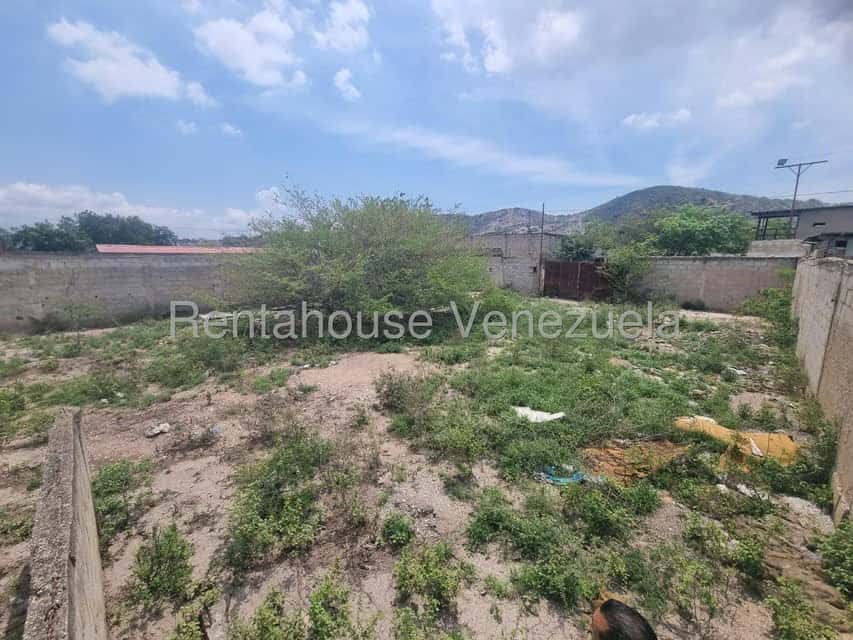 Vista 25