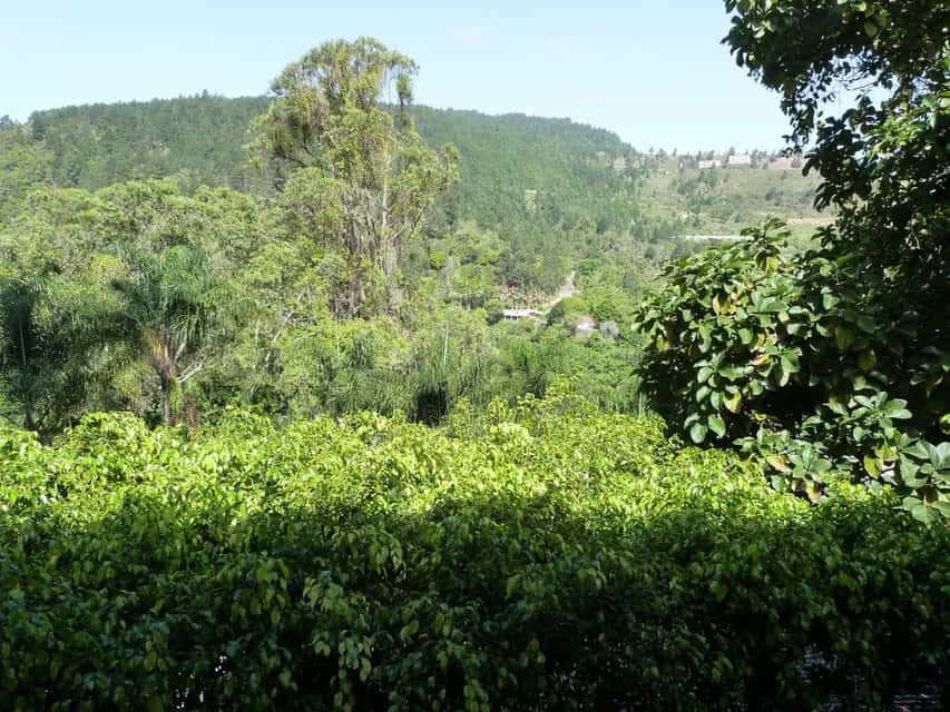 View 30