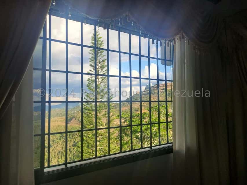 View 19