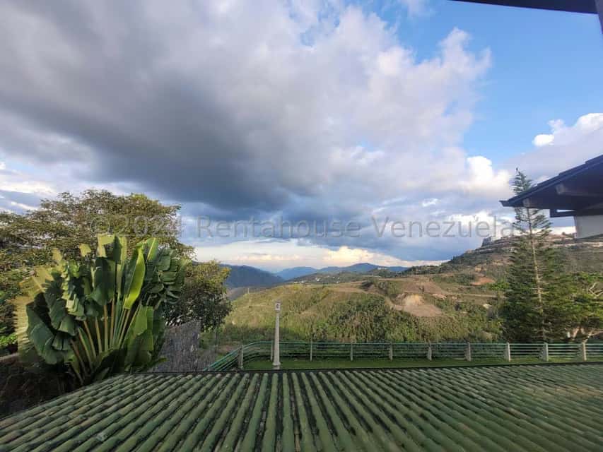 View 29