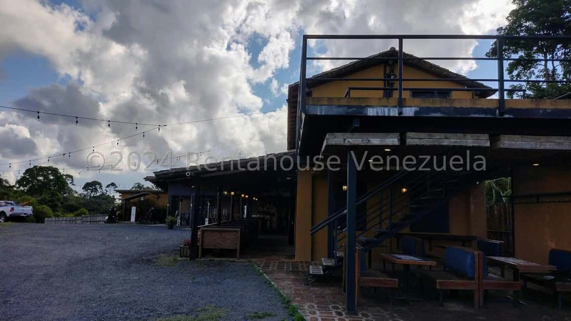 Vista 14