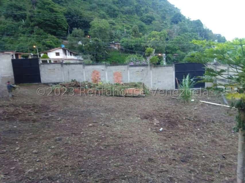 View 6