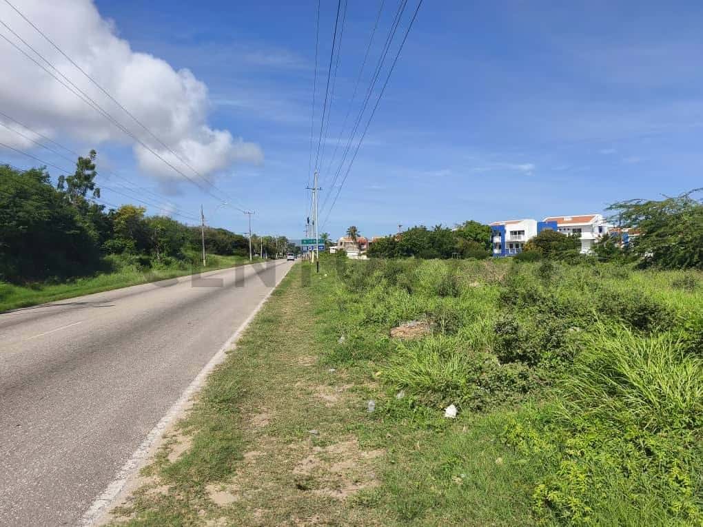 Vista 1