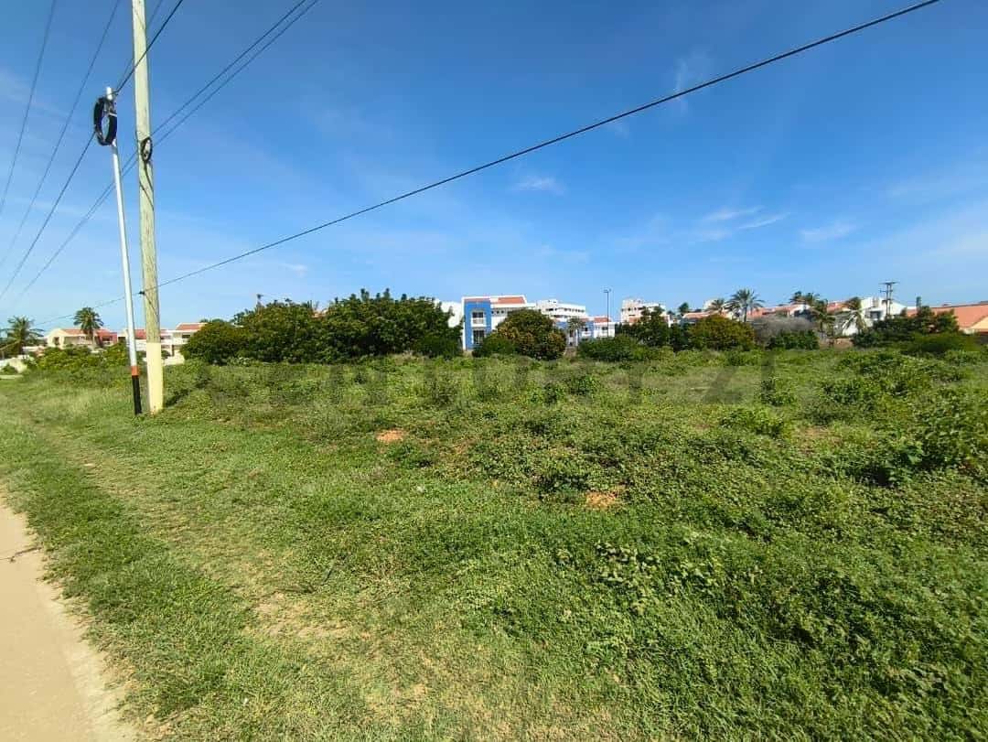 Vista 4
