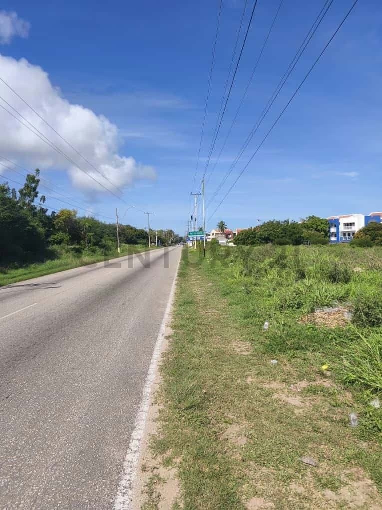 Vista 9