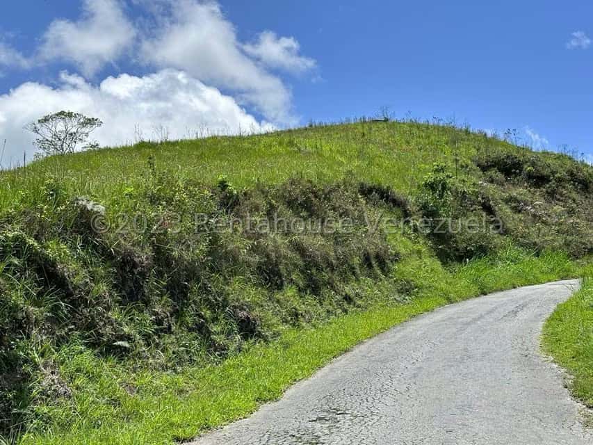 View 7