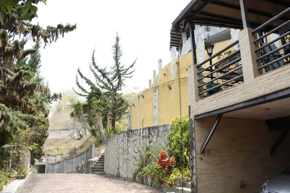 View 14