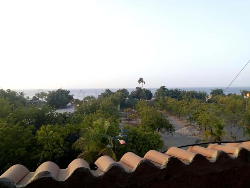 View 39