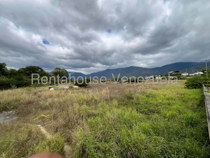 Vista 13