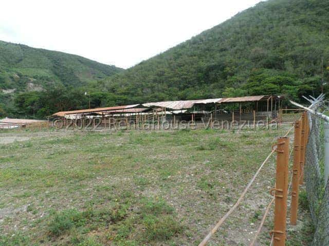 View 27