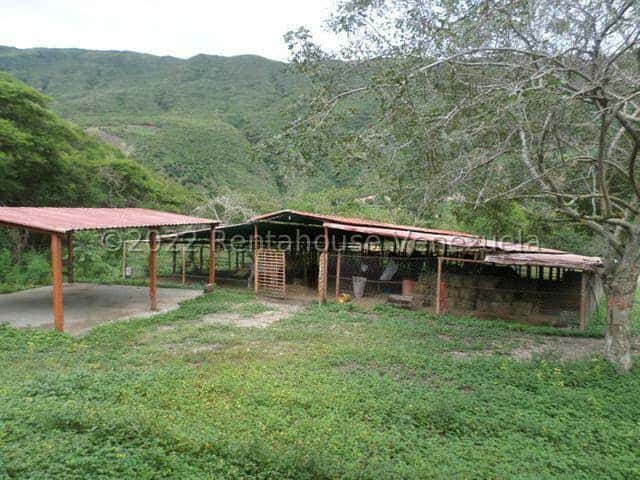View 28