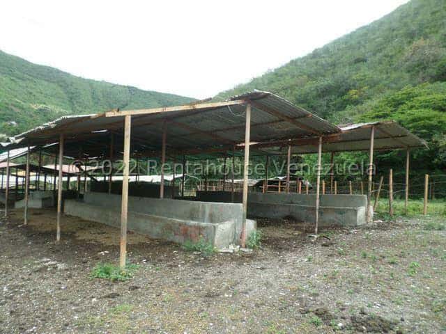 View 29