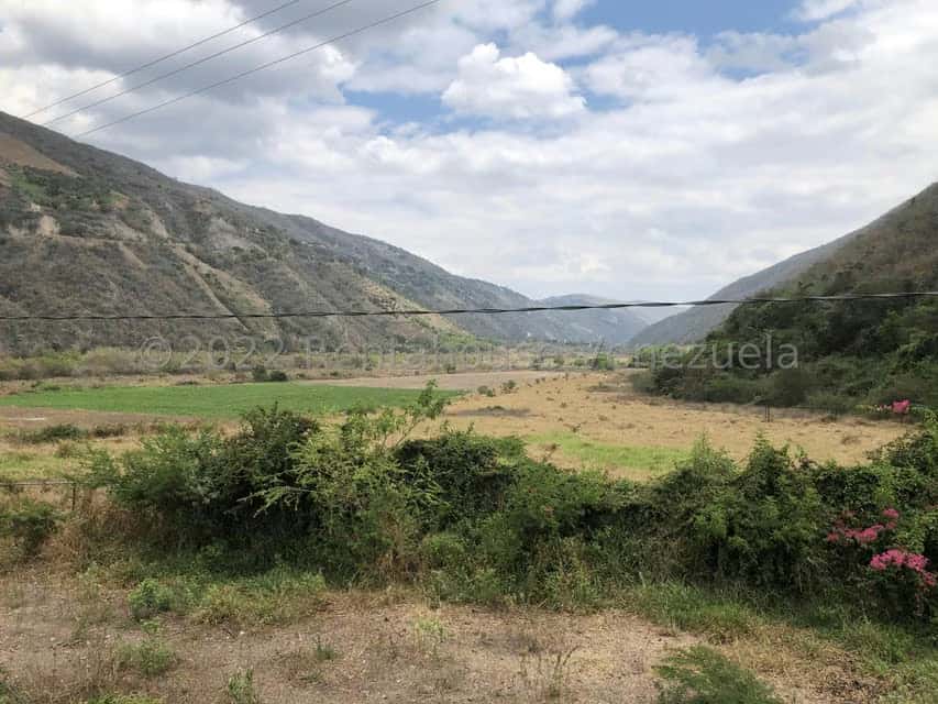 View 57