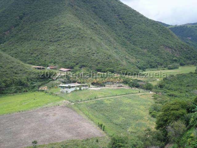 View 8
