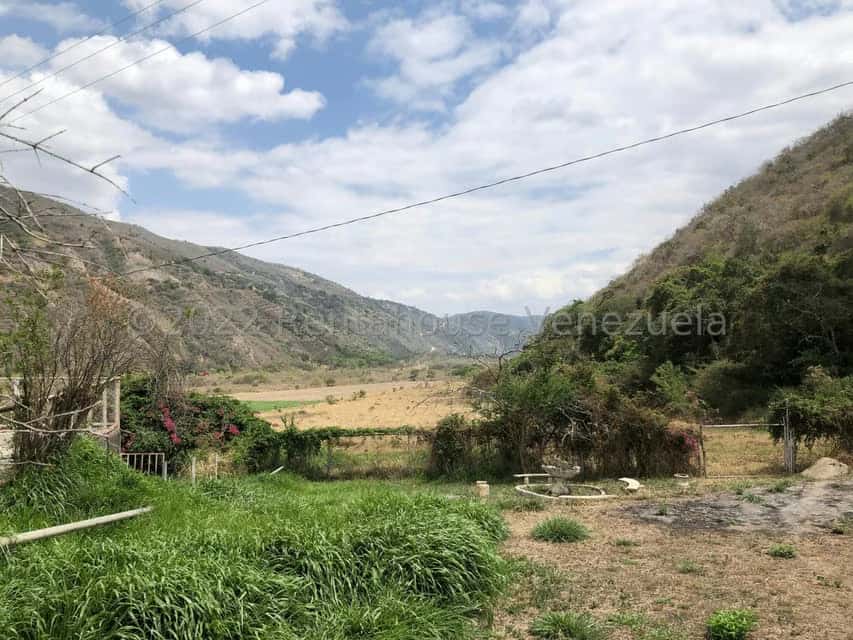 View 75