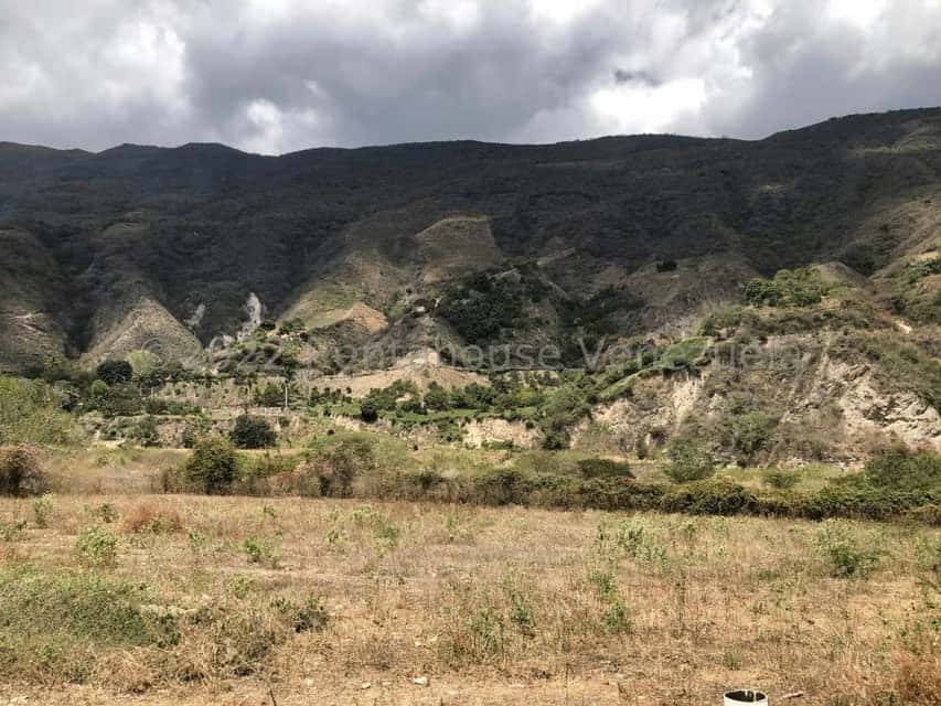 View 76