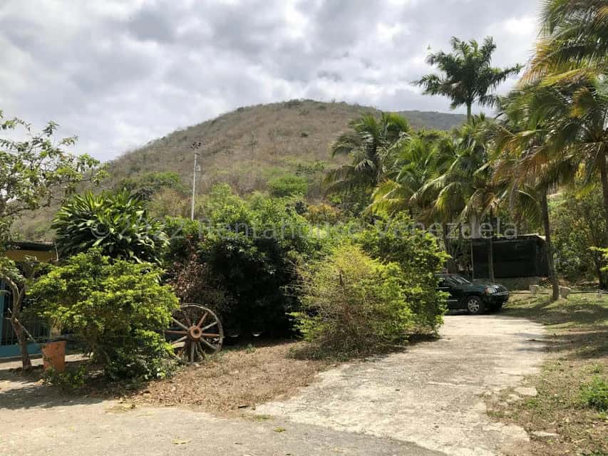 View 79