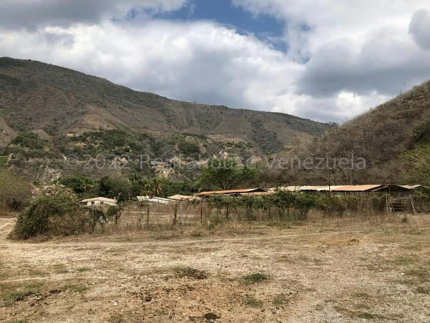 View 89