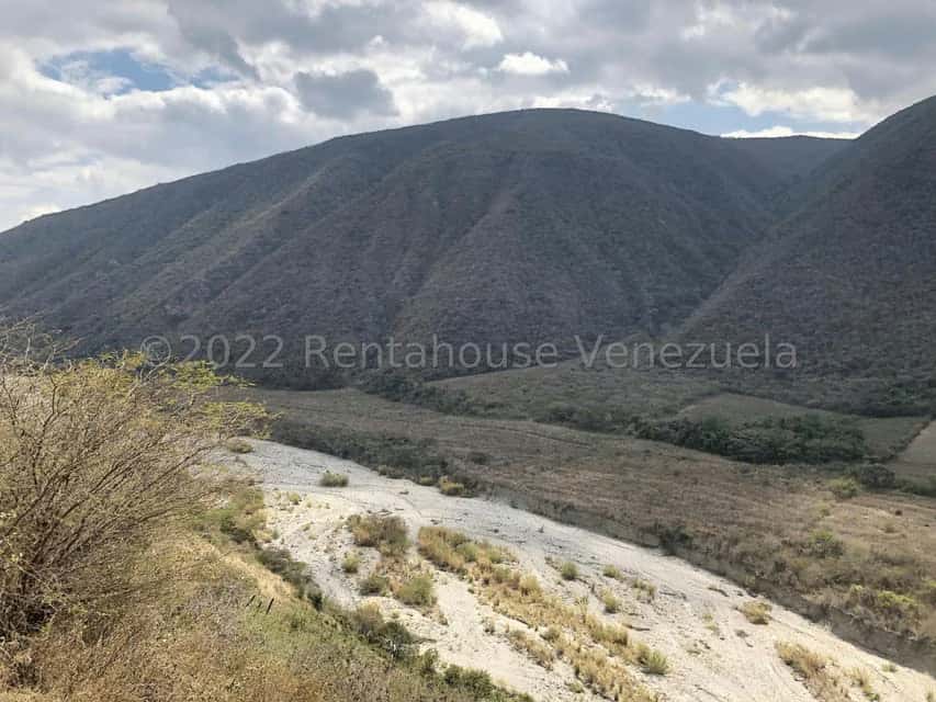 View 91