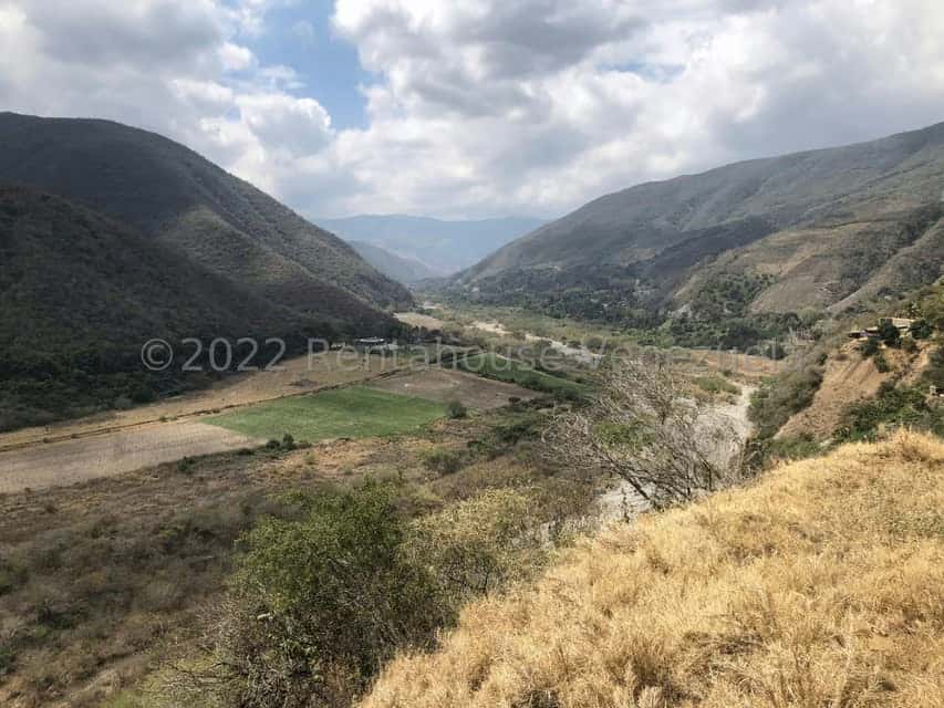 View 93