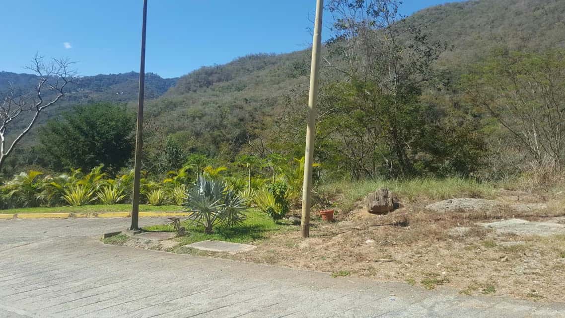 View 4