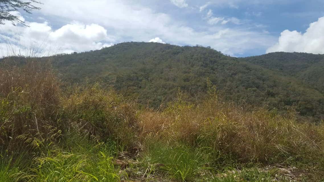 View 5