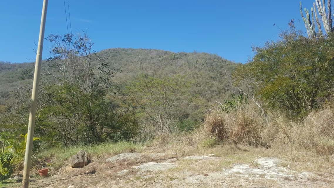 View 6