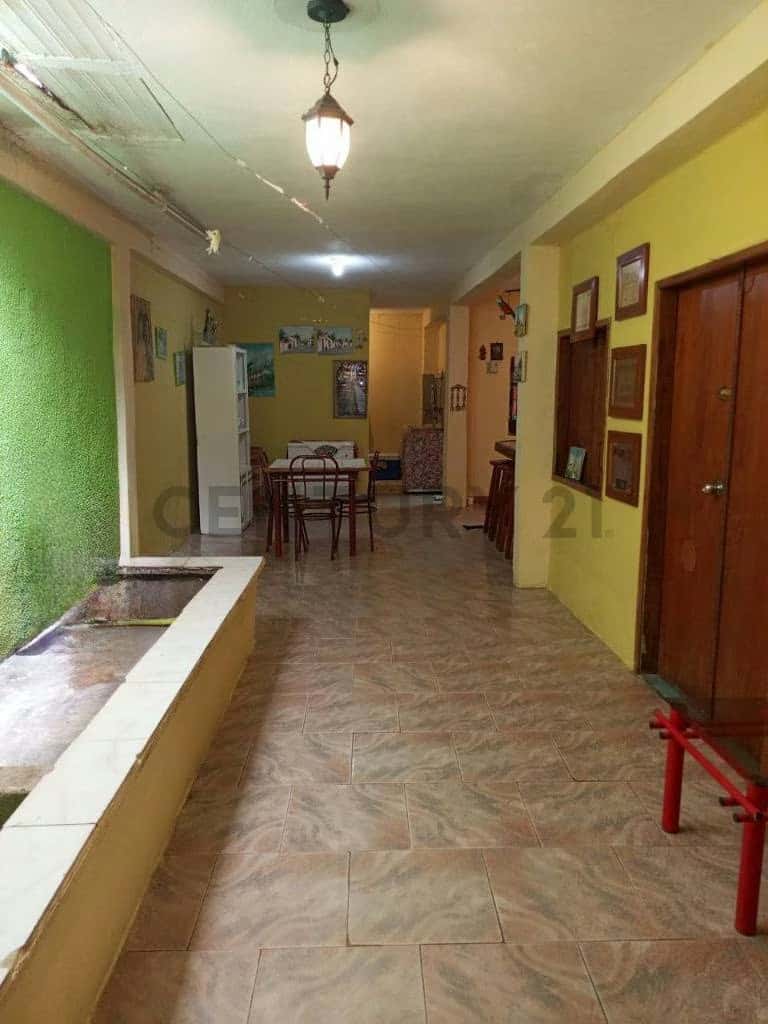 Vista 4