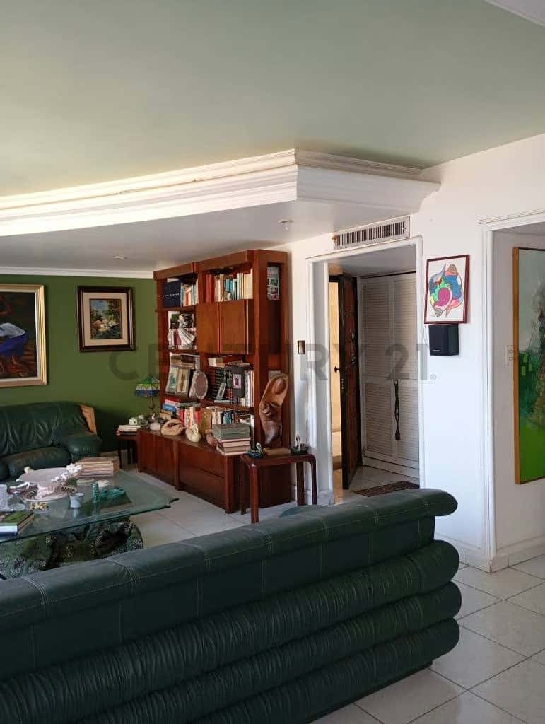 Vista 15