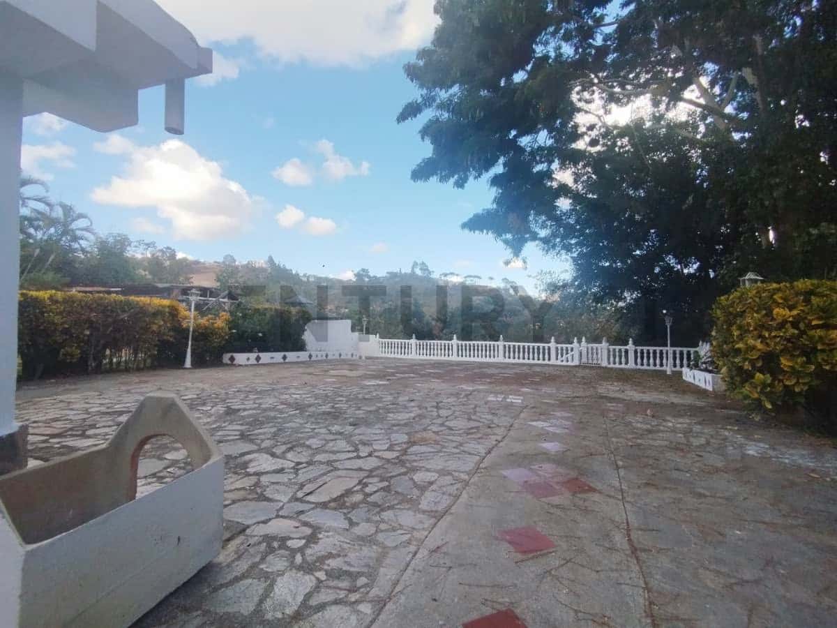 Vista 16