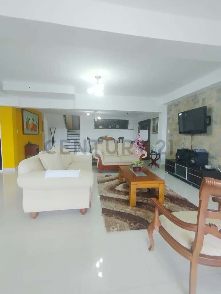 Vista 3