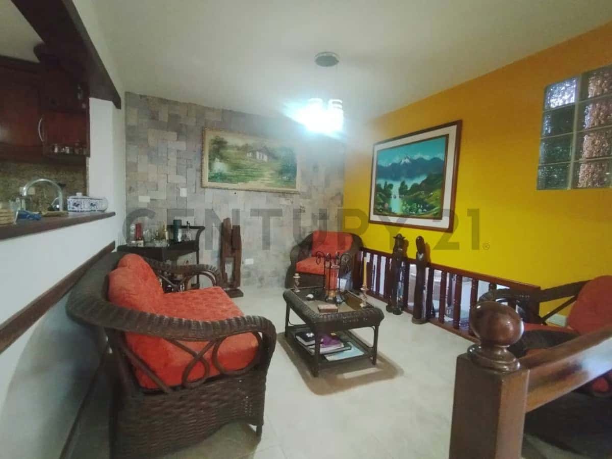 Vista 7