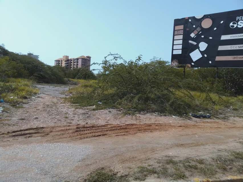 Vista 4