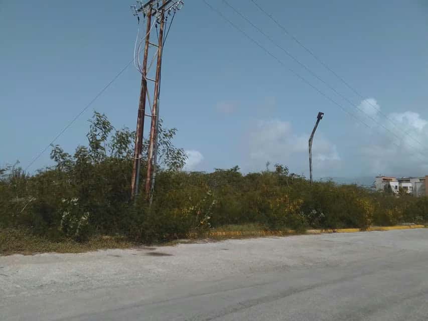 Vista 8