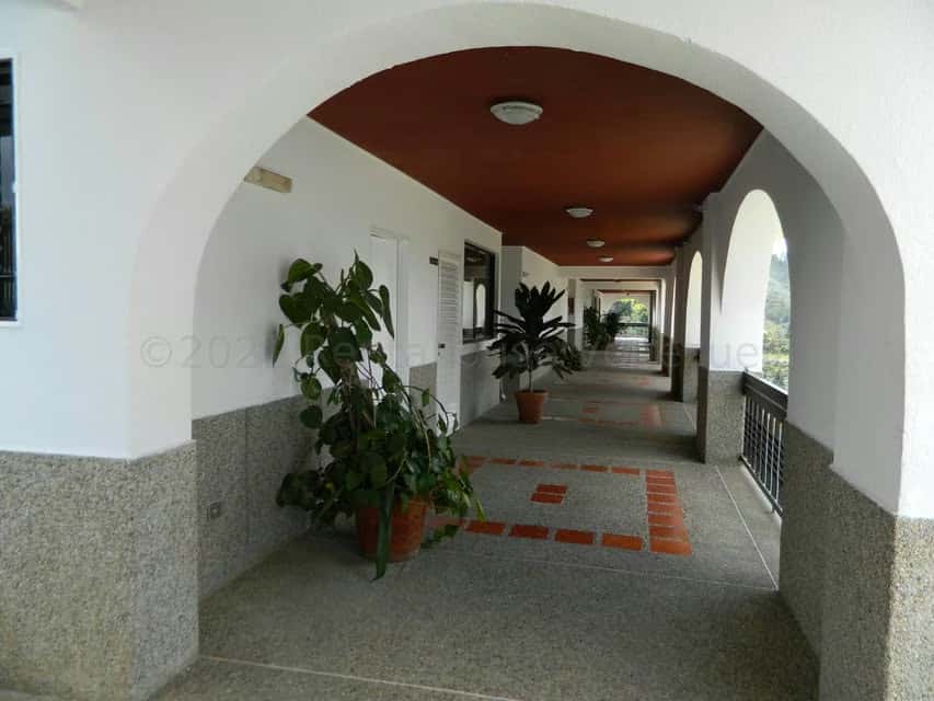 Vista 26
