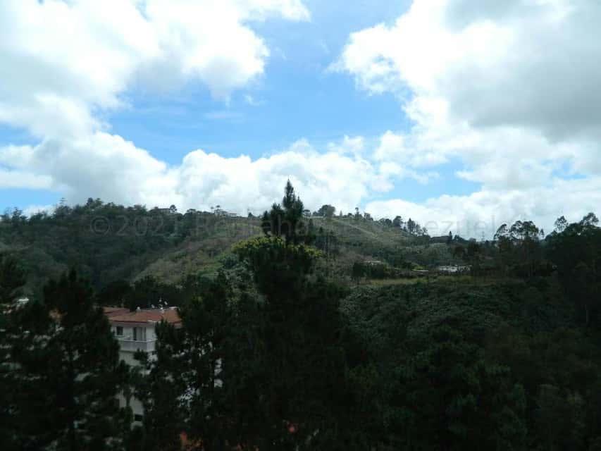 Vista 30