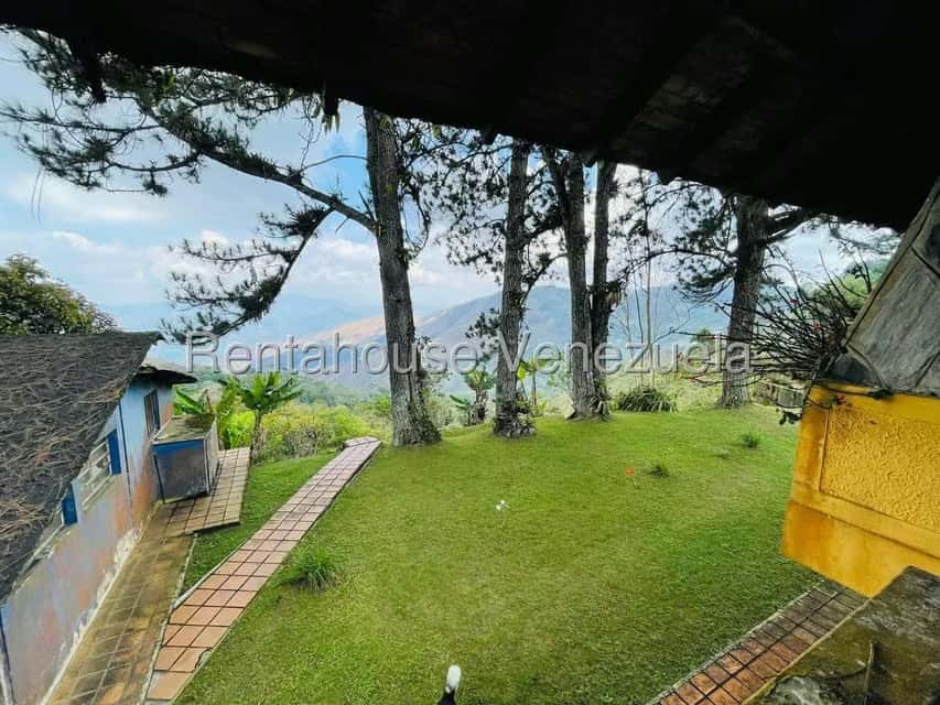View 60