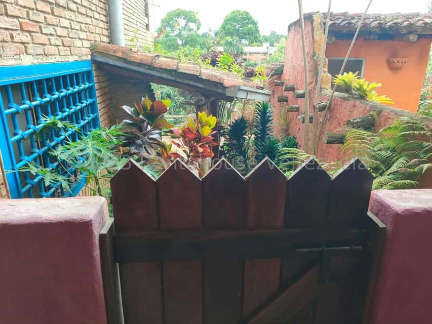 View 52