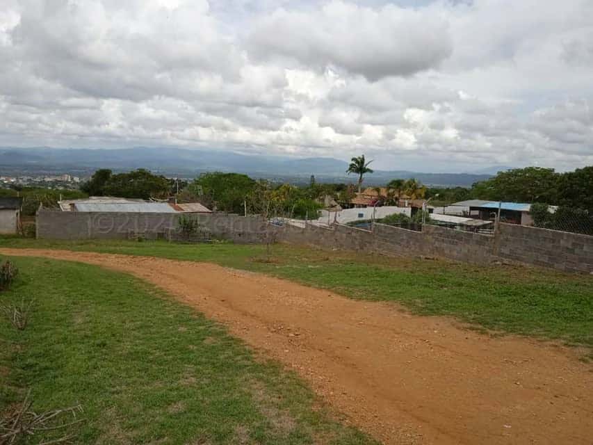 View 29