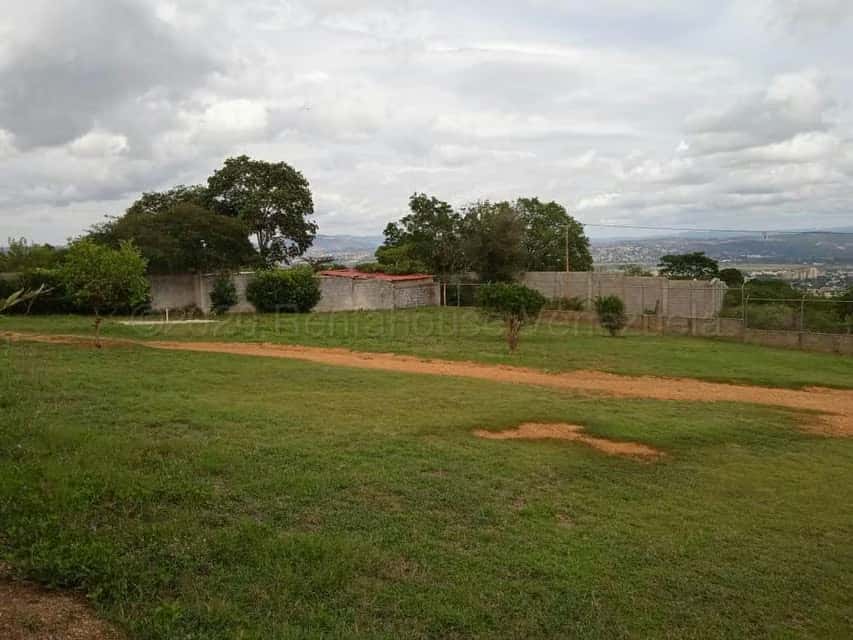 View 49