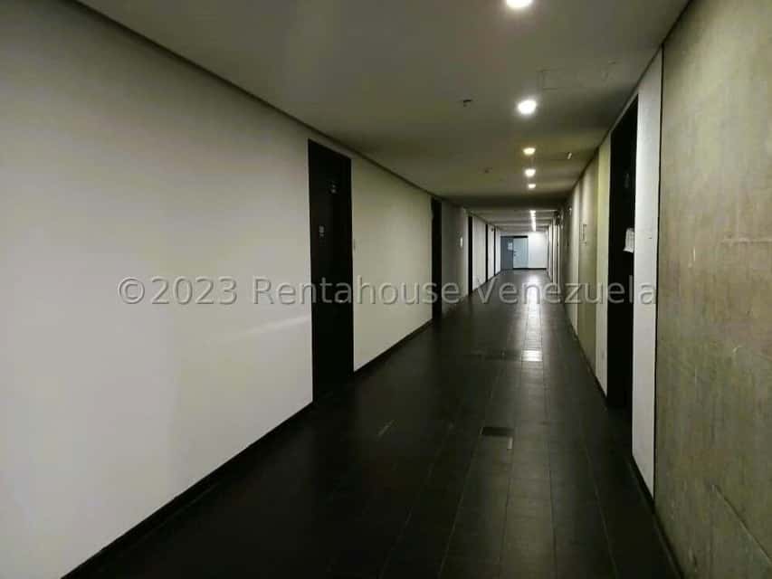 Vista 24