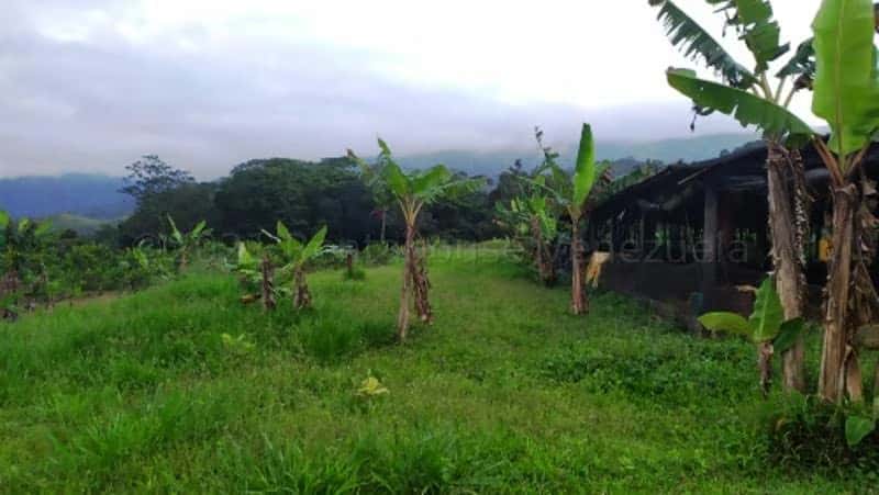 View 18